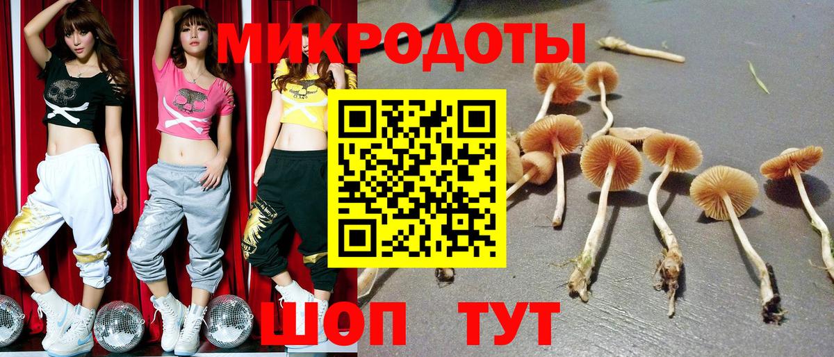 Галлюциногенные грибы прущие грибы  Вход с VPN  Псилоцибиновые грибы мухоморы  Новоалександровск 