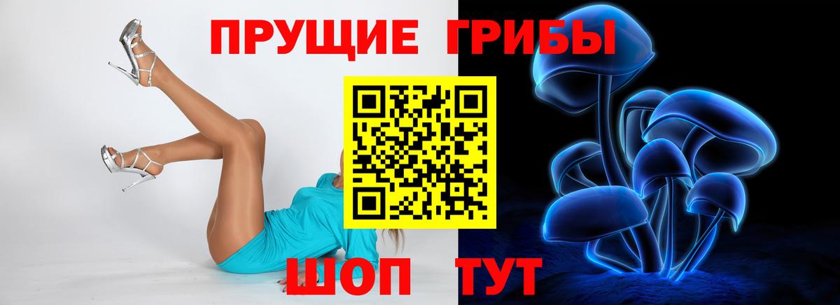 Псилоцибиновые грибы Cubensis Новоалександровск