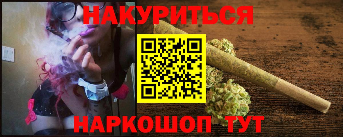 Марихуана сатива Новоалександровск